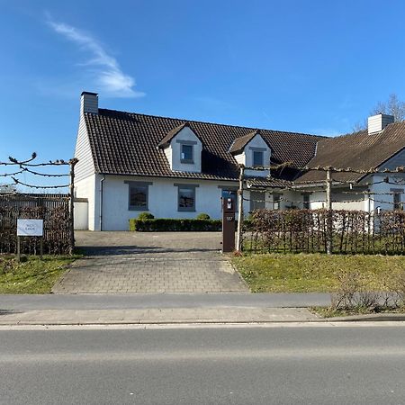 B&B Maison Blanche Gent Eksteriør bilde