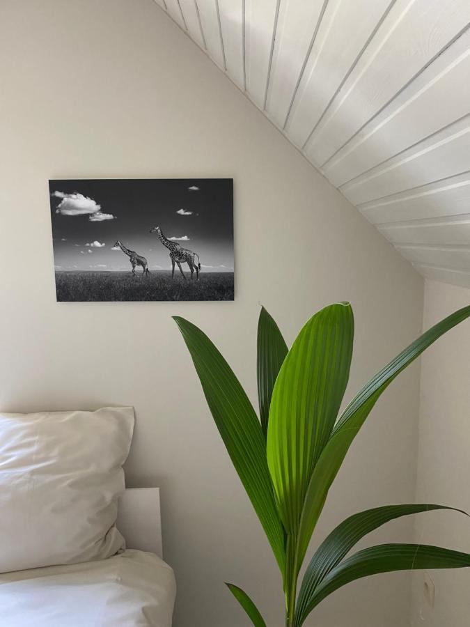 B&B Maison Blanche Gent Eksteriør bilde